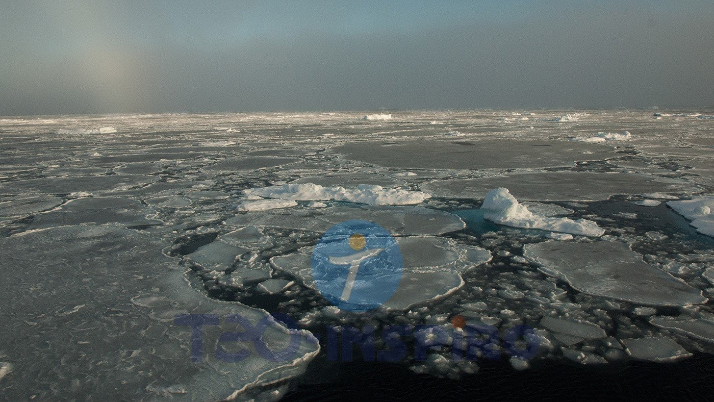 With-thick-ice-gone-Arctic-sea-ice-changes-more-slowly